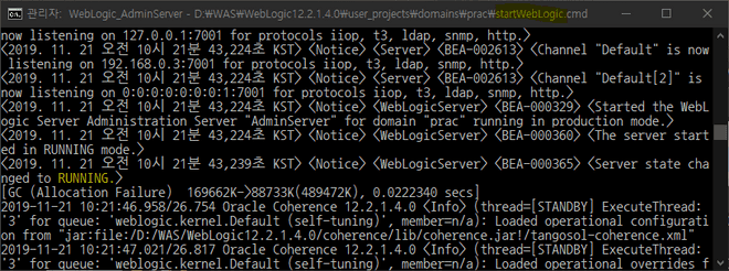 runAdminServer.cmd