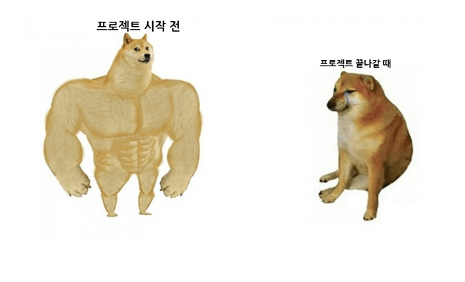 통합차단시스템 개발후기